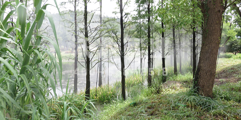 農業自動化灌溉