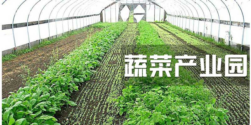 智能化水肥灌溉設備